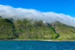 Dream-Flight Weasel-Trek 90cm 3 Dream-Flight Weasel-Trek 90cm -MKS Sales Store dream flight weasel trek 90cm 30