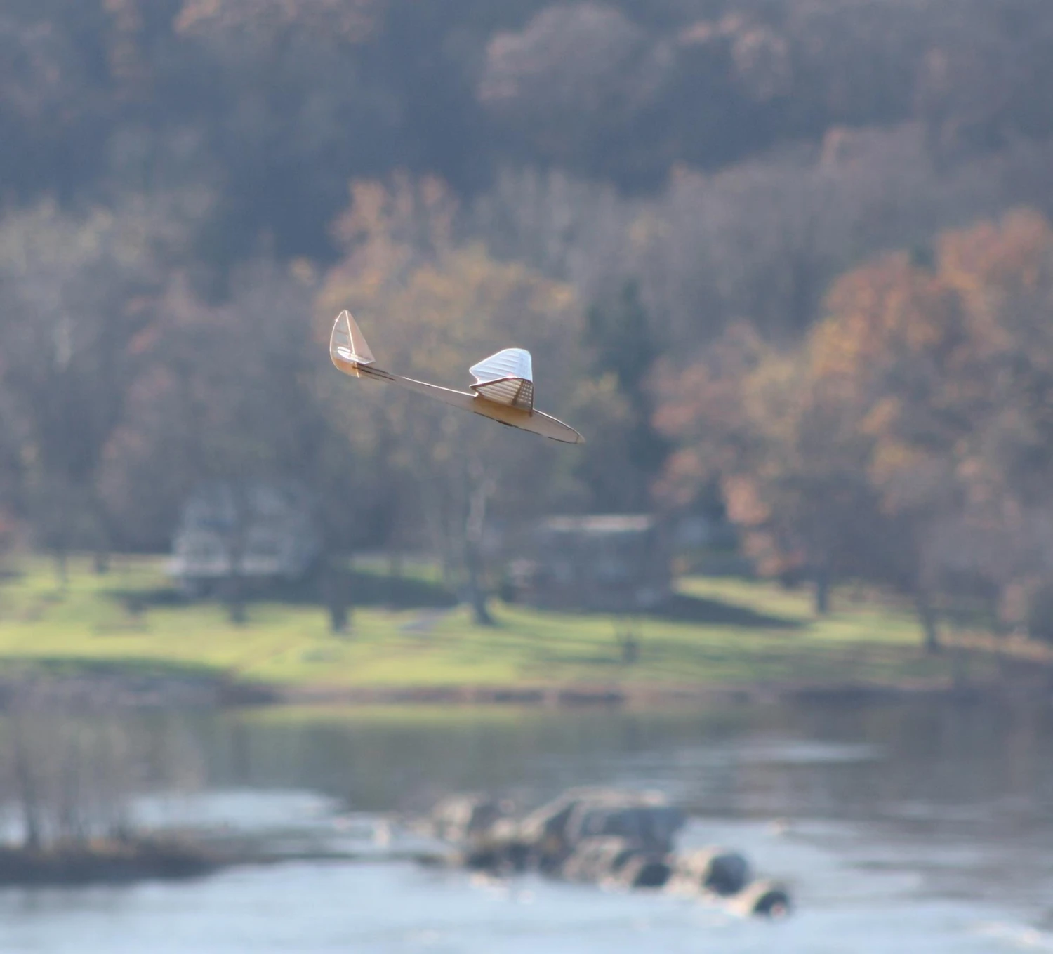 Micro Bird of Time 1.2m Micro Bird Of Time 1.2m -MKS Sales Store micro bird of time 1 2m 20