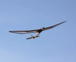 Micro Bird Of Time 1.2m 2 Micro Bird Of Time 1.2m -MKS Sales Store micro bird of time 1 2m 40