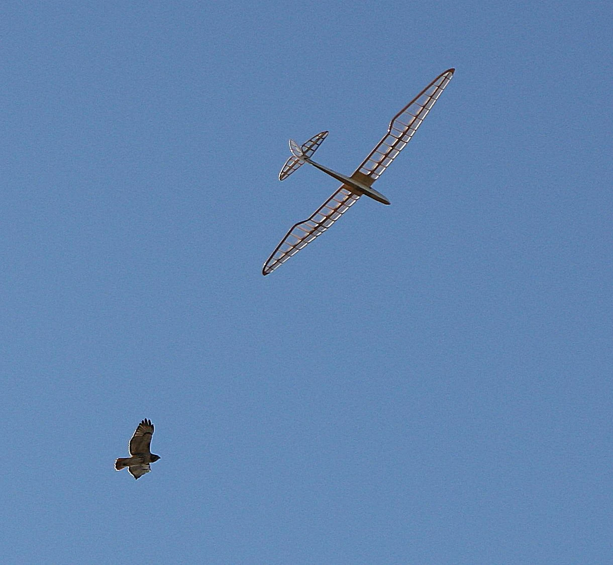 Micro Bird of Time 1.2m Micro Bird Of Time 1.2m -MKS Sales Store micro bird of time 1 2m 45