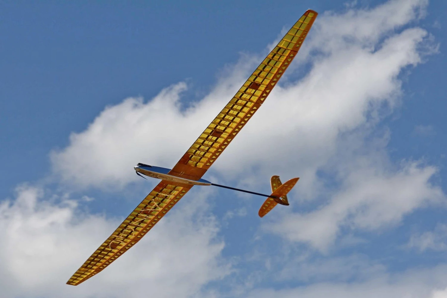 Tango F5J 3.1m Tango F5J 3.1m -MKS Sales Store tango f5j 3 1m 30