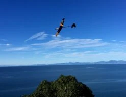 Vortex 3 1.5m DLG -MKS Sales Store vortex 3 1 5m dlg 20