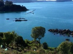 Vortex 3 1.5m DLG -MKS Sales Store vortex 3 1 5m dlg 30